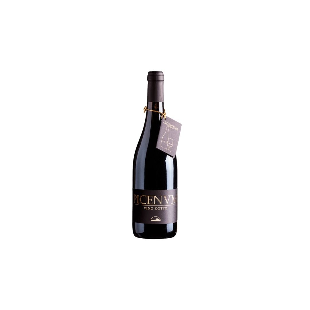 VINO COTTO PICENUM - TERRE DI SAN GINESIO