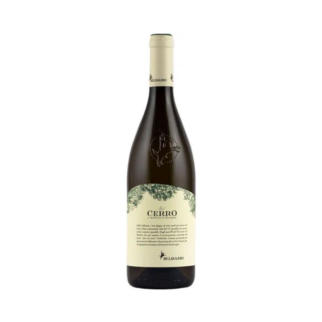 VERDICCHIO DI MATELICA DOC 2023 DEL CERRO - BELISARIO
