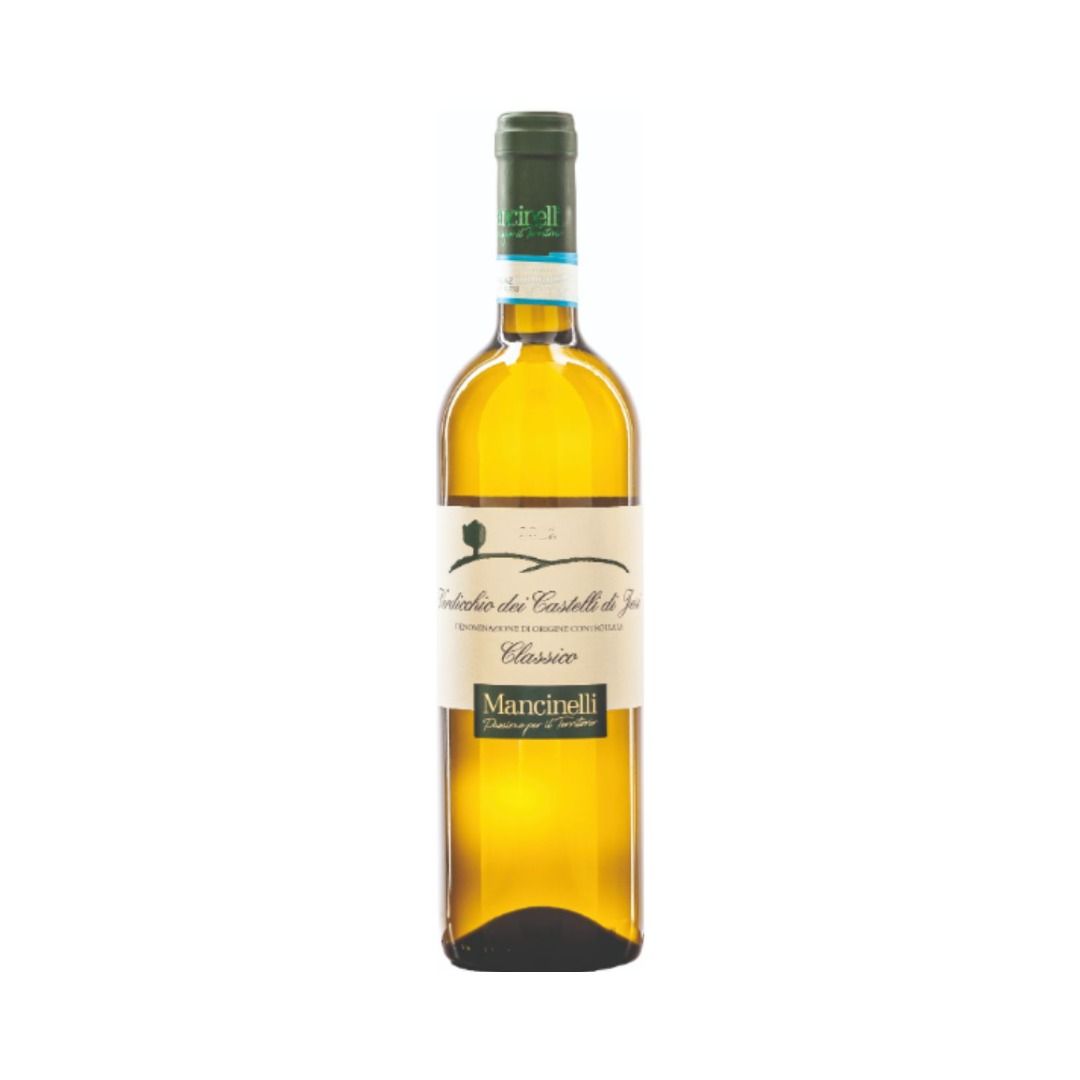 VERDICCHIO DEI CASTELLI DI JESI CLASSICO DOC 2024 - STEFANO MANCINELLI