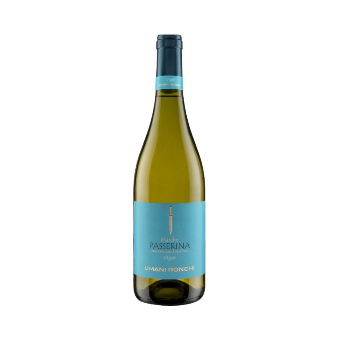 PASSERINA MARCHE IGT 2023 VIGOR - UMANI RONCHI
