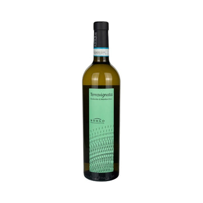 VERDICCHIO DI MATELICA DOC TERRAVIGNATA - BORGO PAGLIANETTO