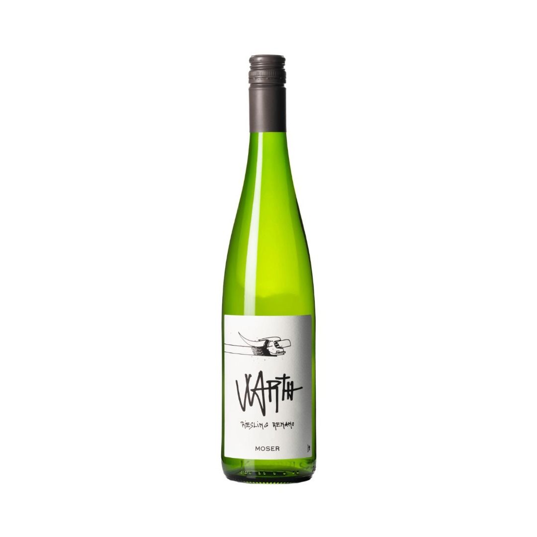 RIESLING RENANO TRENTINO DOC 2023 WARTH - MOSER