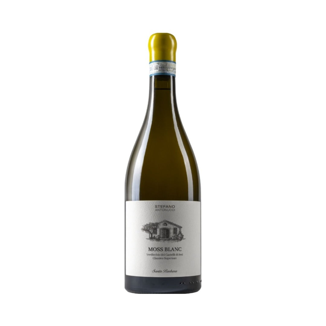 VERDICCHIO DEI CASTELLI DI JESI CLASSICO SUPERIORE DOC 2023 MOSS BLANC - SANTA BARBARA