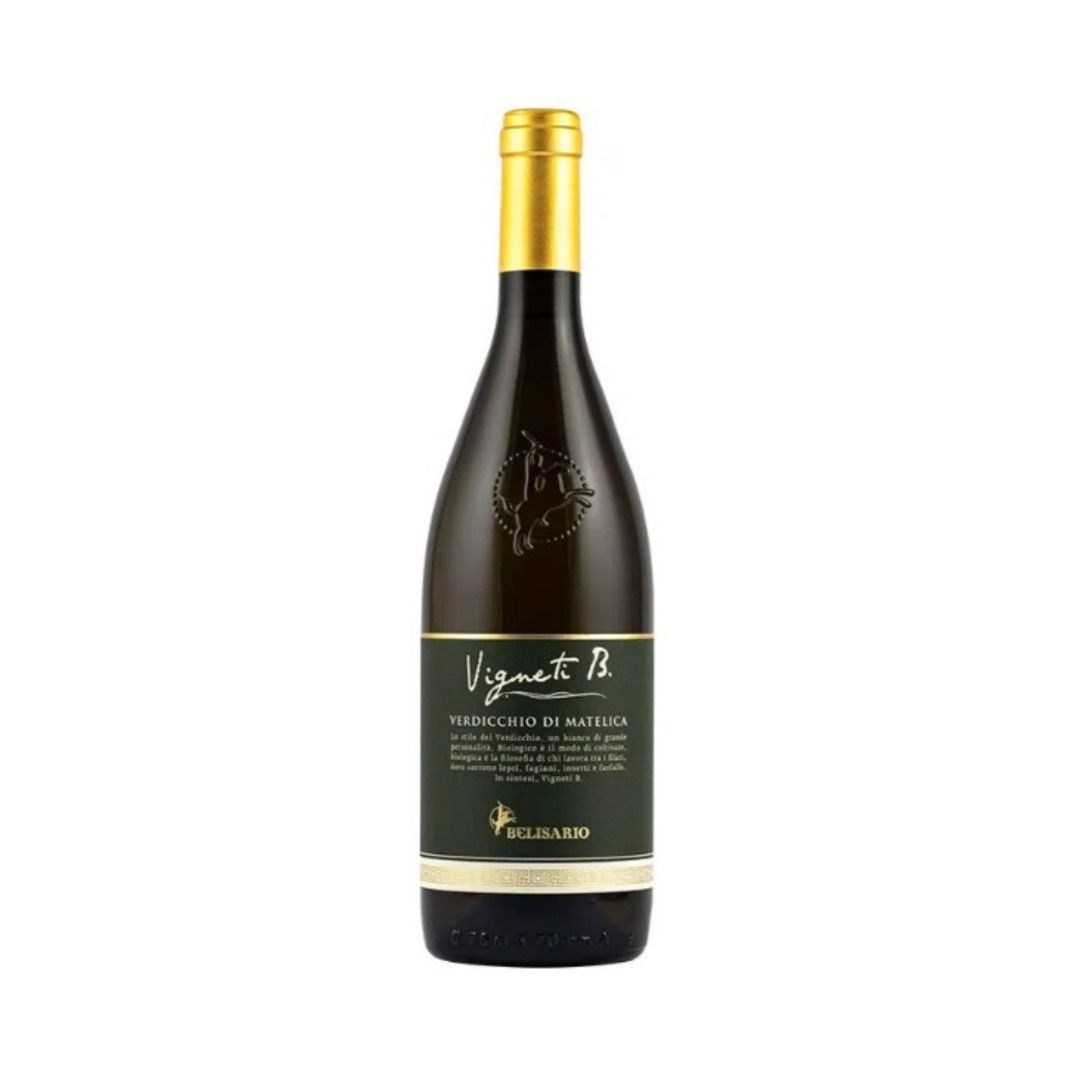 VERDICCHIO DI MATELICA DOC 2024 VIGNETI B - BELISARIO