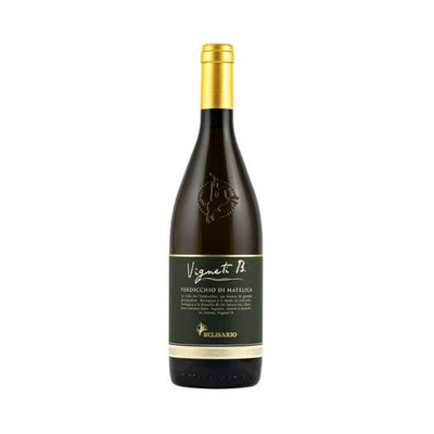 VERDICCHIO DI MATELICA DOC 2024 VIGNETI B - BELISARIO