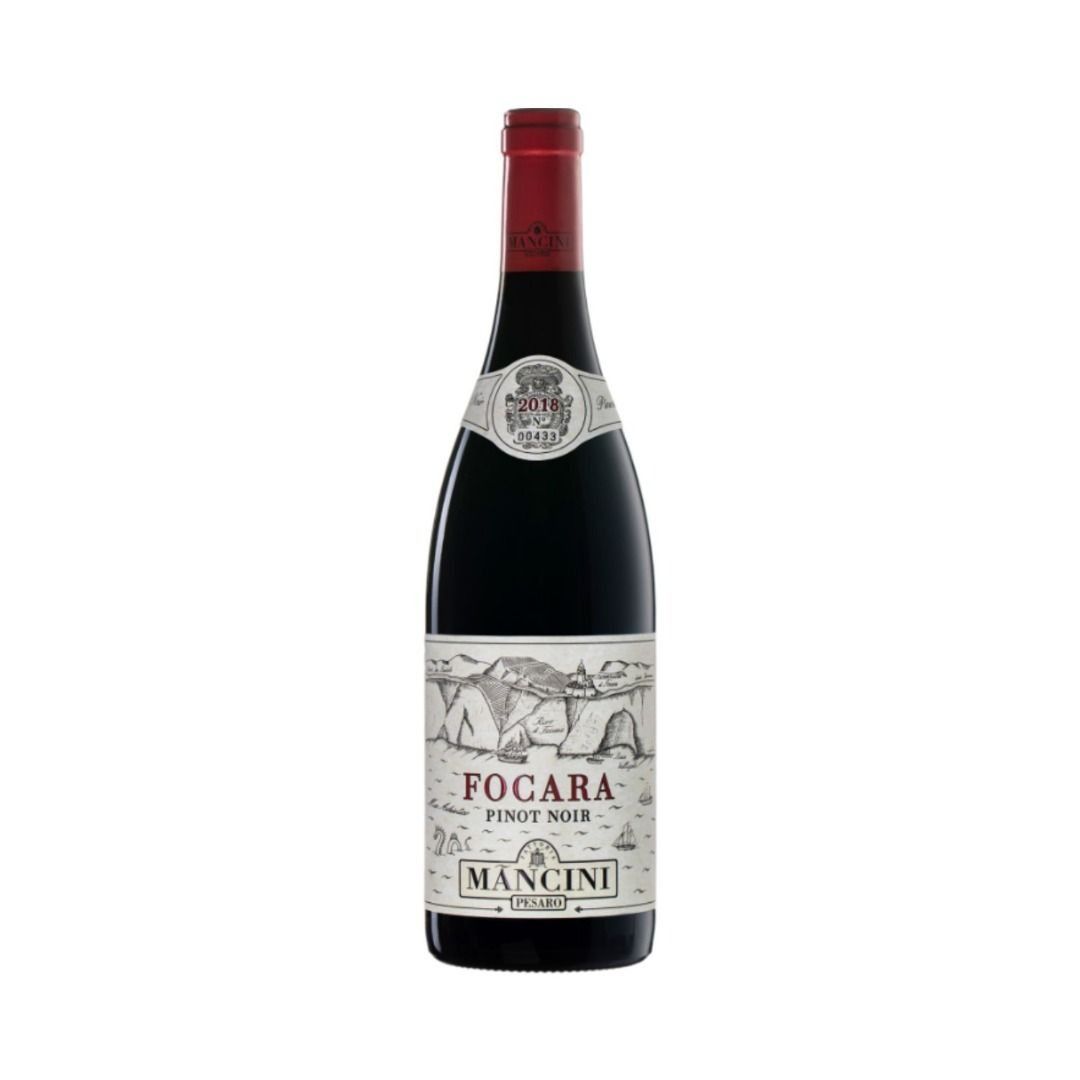 PINOT NERO COLLI PESARESI DOC 2021 FOCARA - FATTORIA MANCINI