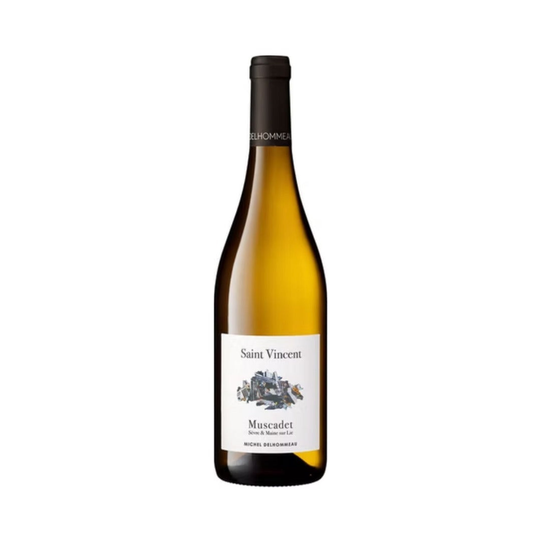 MUSCADET DE SEVRE ET MAINE SUR LIE AOC 2024 SAINT VINCENT - MICHEL DELHOMMEAU
