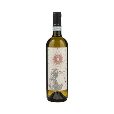 VERDICCHIO DEI CASTELLI DI JESI CLASSICO SUPERIORE DOC 2024 IL BACCO - FATTORIA CORONCINO
