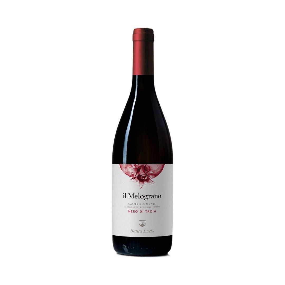 NERO DI TROIA CASTEL DEL MONTE DOP 2019 IL MELOGRANO - SANTA LUCIA