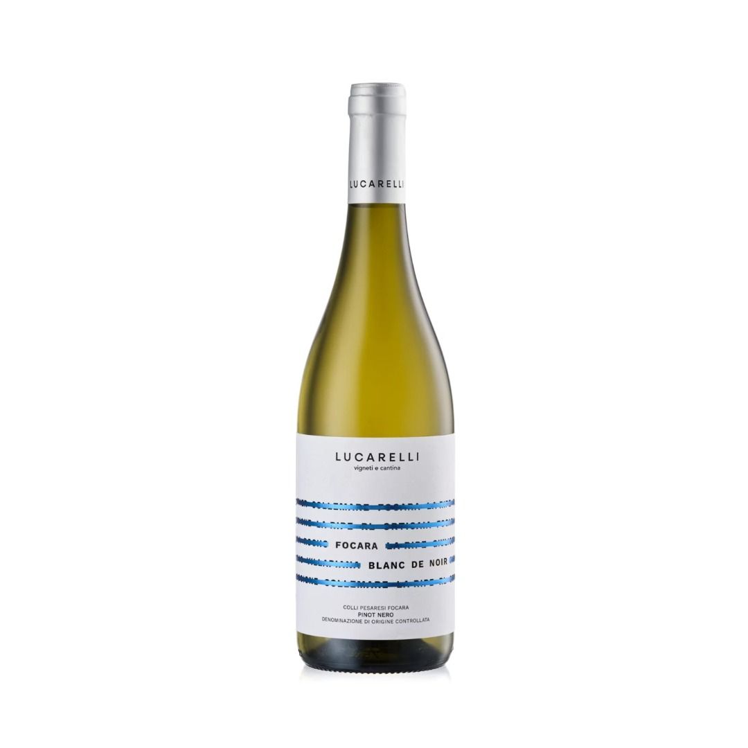 COLLI PESARESI DOC PINOT NERO BLANC DE NOIR 2023 FOCARA - ROBERTO LUCARELLI