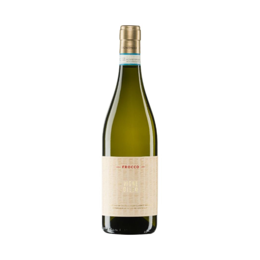 VERDICCHIO DEI CASTELLI DI JESI CLASSICO SUPERIORE DOC 2021 FROCCO - VIGNEDILEO
