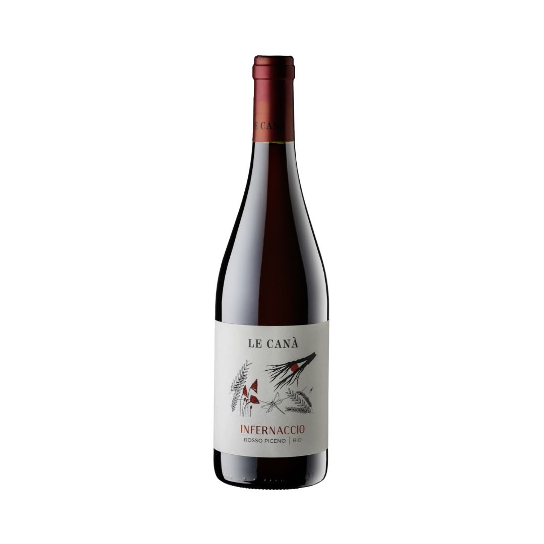 ROSSO PICENO DOC 2024 INFERNACCIO - LE CANA'