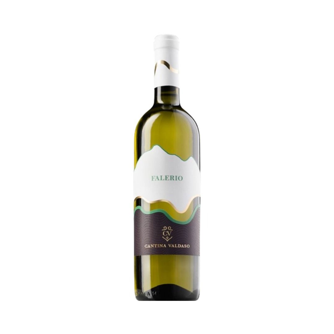 FALERIO DOC 2023 - CANTINA VALDASO