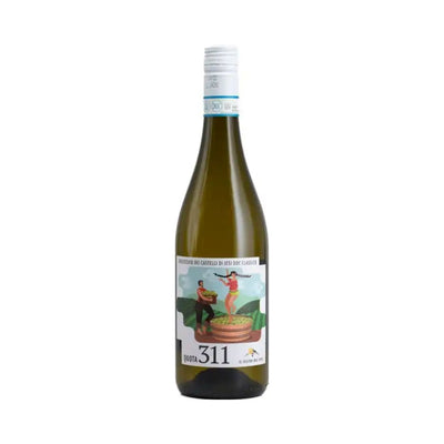 VERDICCHIO DEI CASTELLI DI JESI DOC CLASSICO 2025 QUOTA 311 - PIERSANTI TEATRO DEL VINO