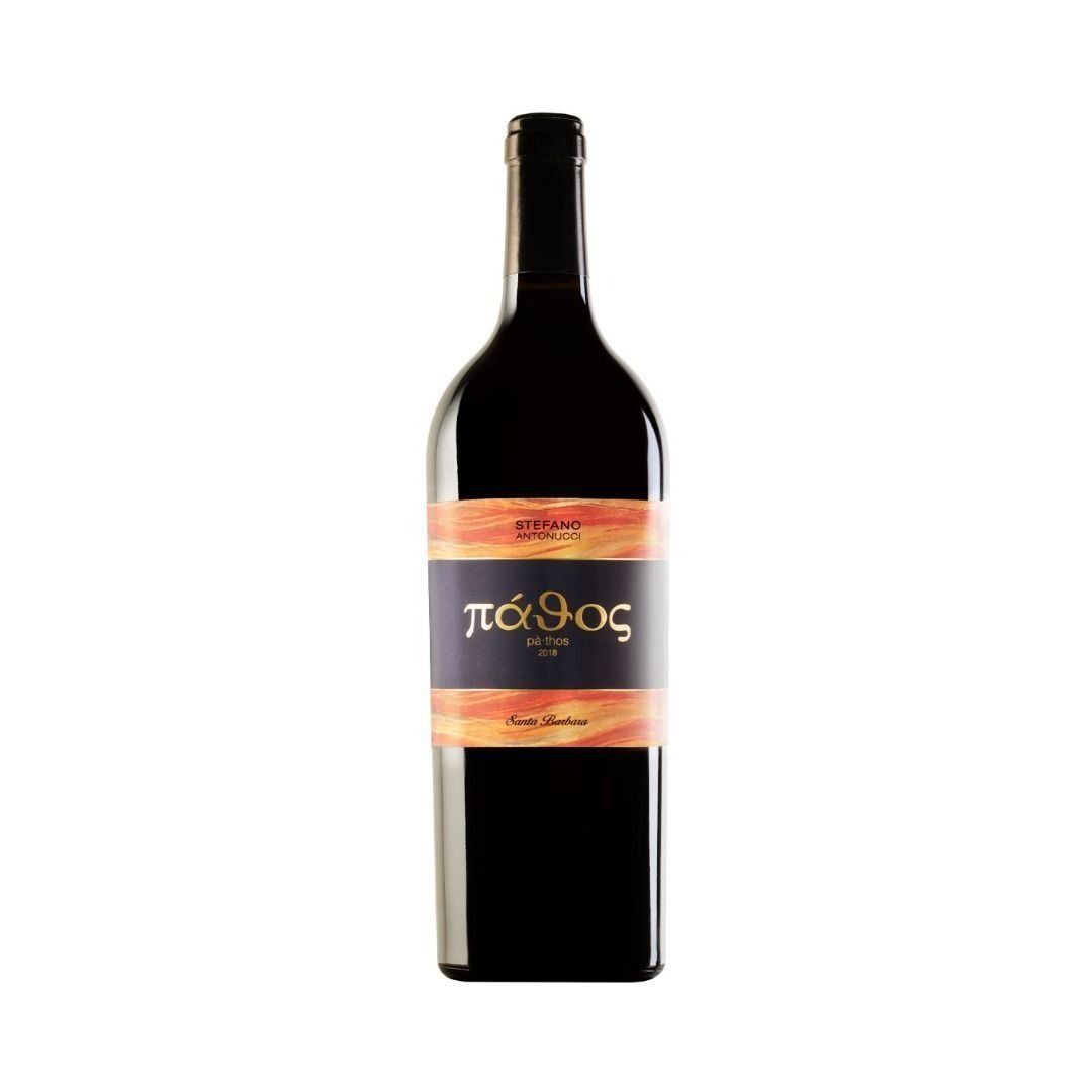ROSSO MARCHE IGT 2023 PATHOS - SANTA BARBARA