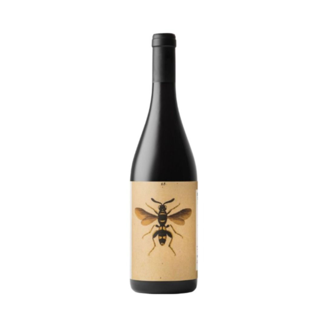 SANGIOVESE PREDAPPIO ROMAGNA DOC 2019 - NOELIA RICCI
