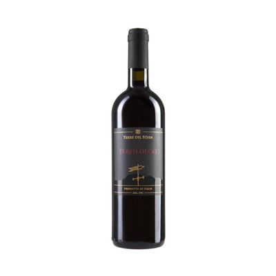 TEROLDEGO VIGNETI DELLE DOLOMITI IGT 2021 - TERRE DEL FOHN