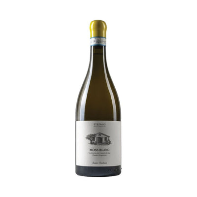 VERDICCHIO DEI CASTELLI DI JESI CLASSICO SUPERIORE DOC 2020 MOSS BLANC - SANTA BARBARA