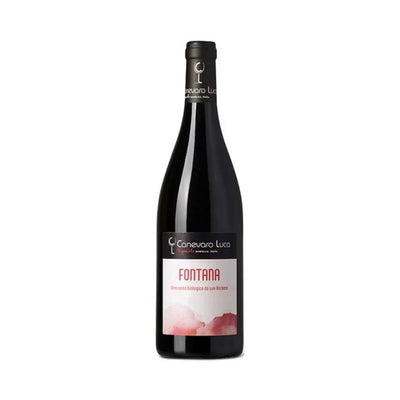 BARBERA COLLI TORTONESI DOC 2024 FONTANA - CANEVARO LUCA