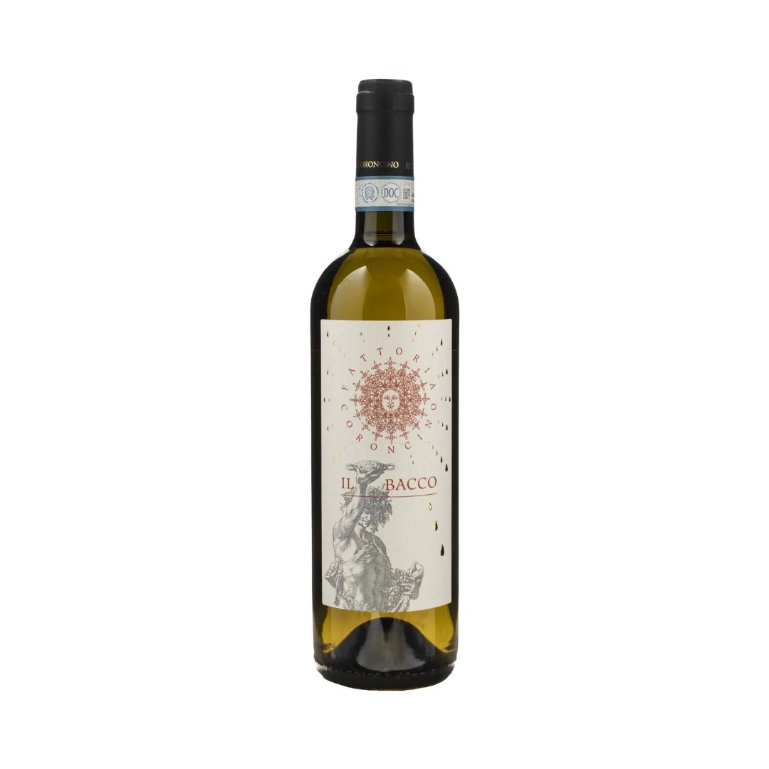 VERDICCHIO DEI CASTELLI DI JESI CLASSICO SUPERIORE DOC 2023 IL BACCO - FATTORIA CORONCINO