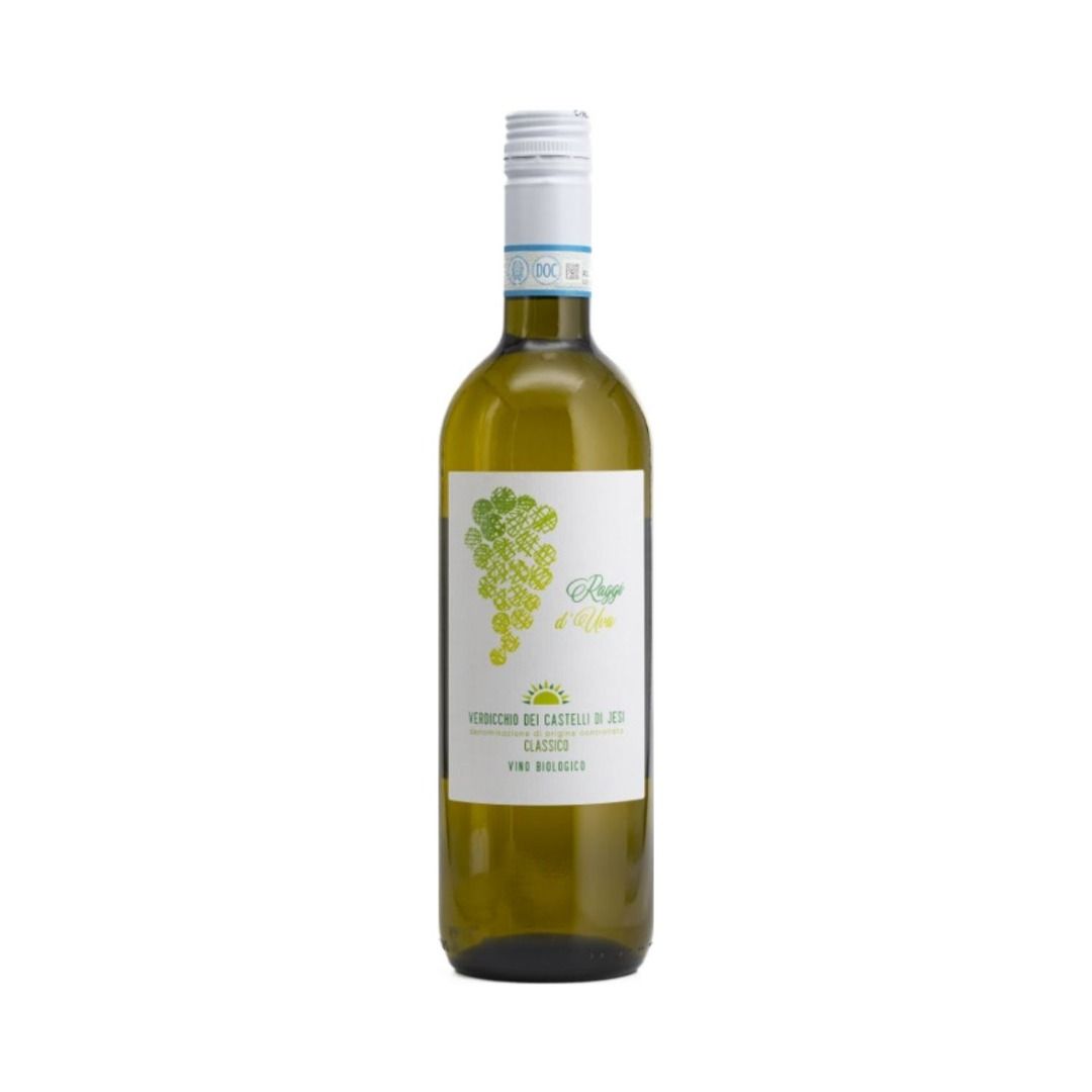 VERDICCHIO DEI CASTELLI DI JESI DOC CLASSICO 2025 RAGGI D'UVA - BOCCAFOSCA